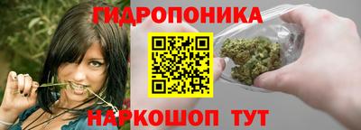 альфа пвп Аргун
