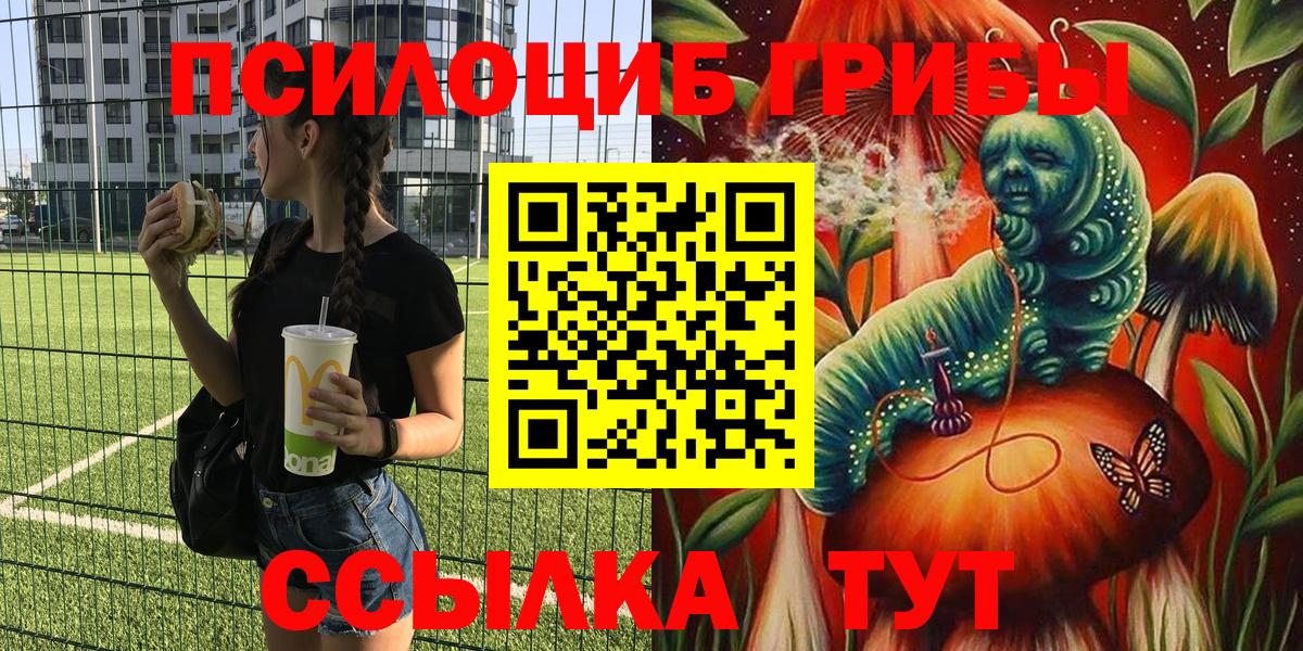где найти наркотики  Псилоцибиновые грибы Psilocybine cubensis  Вход с VPN  Белая Калитва 